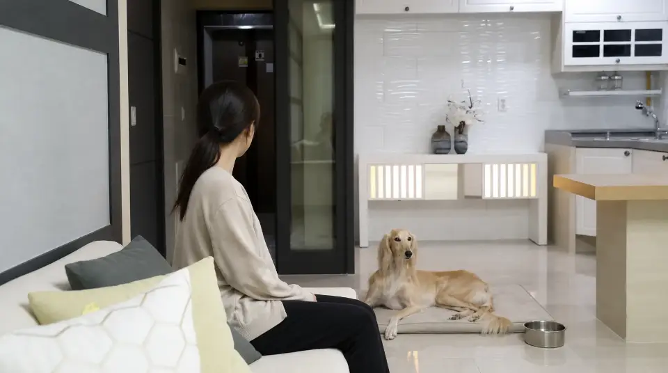 산책 뒤 익숙한 거실 소파 옆에서 물그릇을 두고 편안히 쉬는 살루키