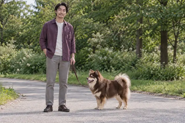 같은 바닥에 선 성인 보호자와 풍성한 털의 성견 피니시 라프훈드