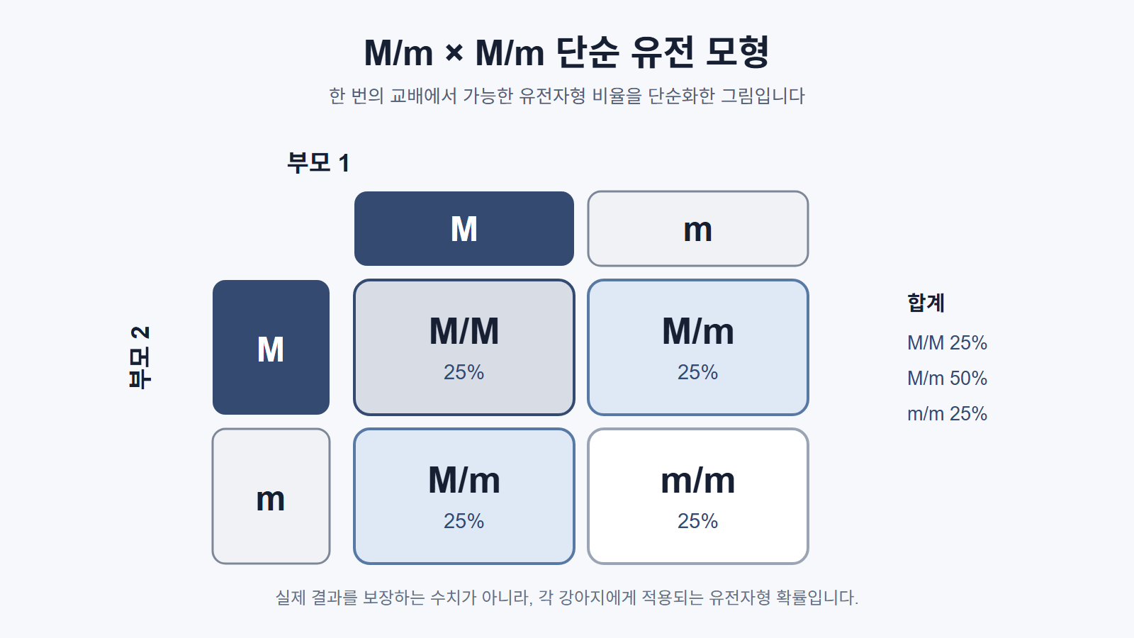 두 M/m 부모에게서 가능한 유전형 조합을 보여 주는 도식