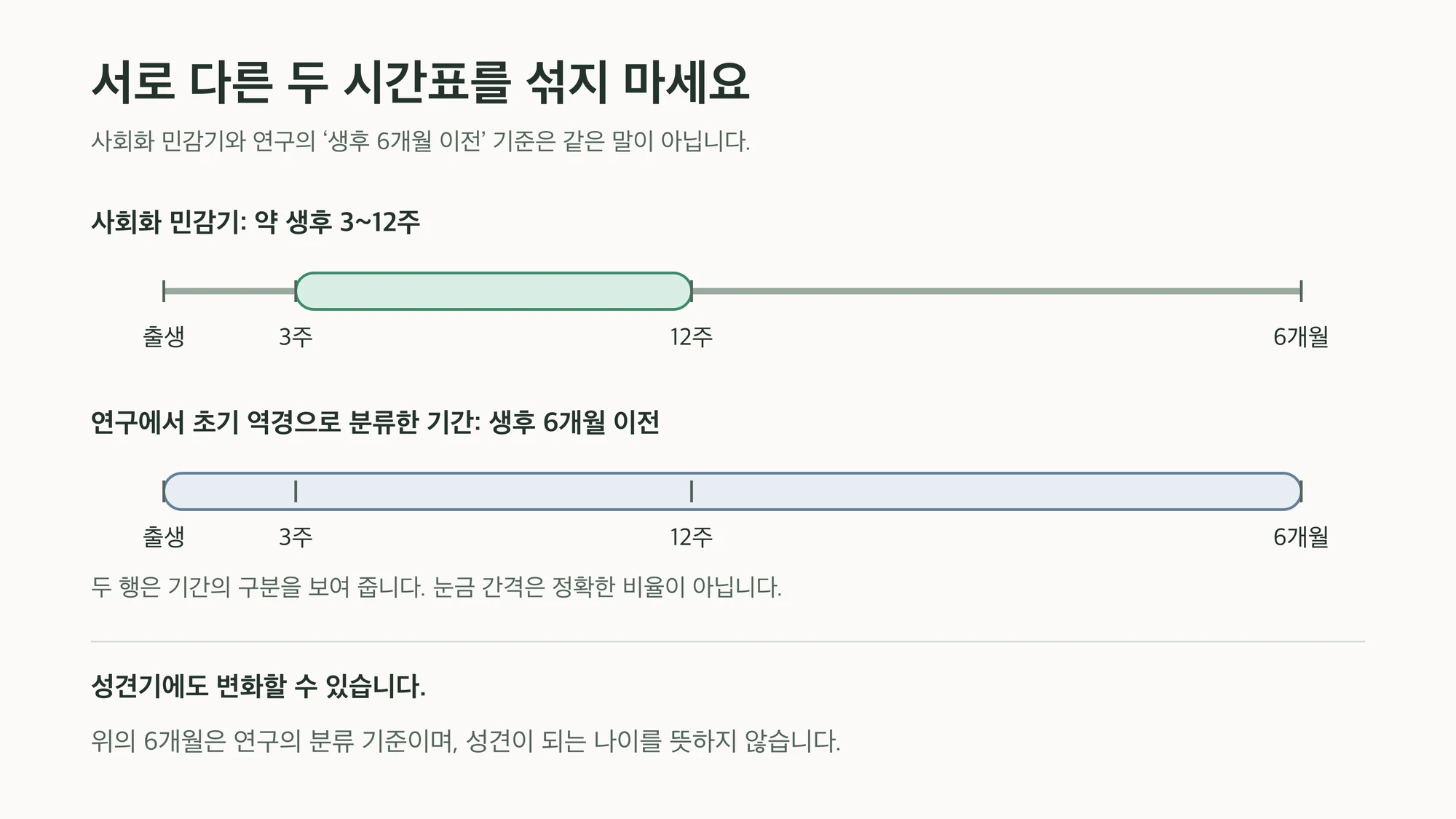 3~12주와 생후 6개월 연구 창의 차이